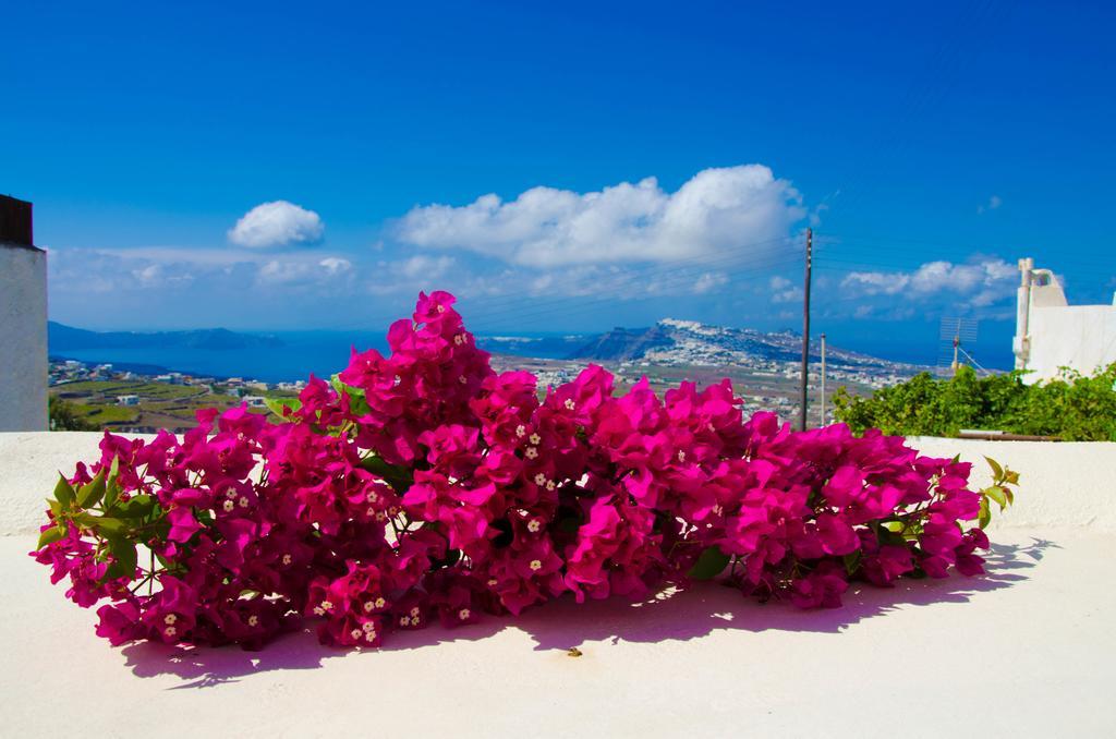 Chrisanthi Villa Pyrgos Kallistis Phòng bức ảnh